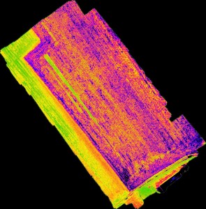 NDVI mais alla 9^ foglia